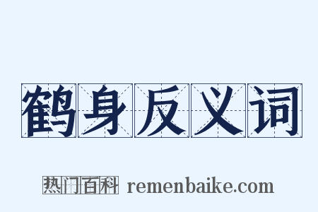鹤身反义词是什么意思的图片